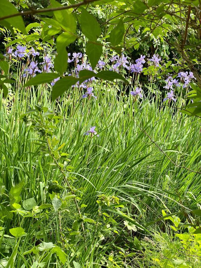 Freiblick 1 Bad Glbg m. Whirlpool u. Garten_Top1 Bad Gleichenberg Exterior foto